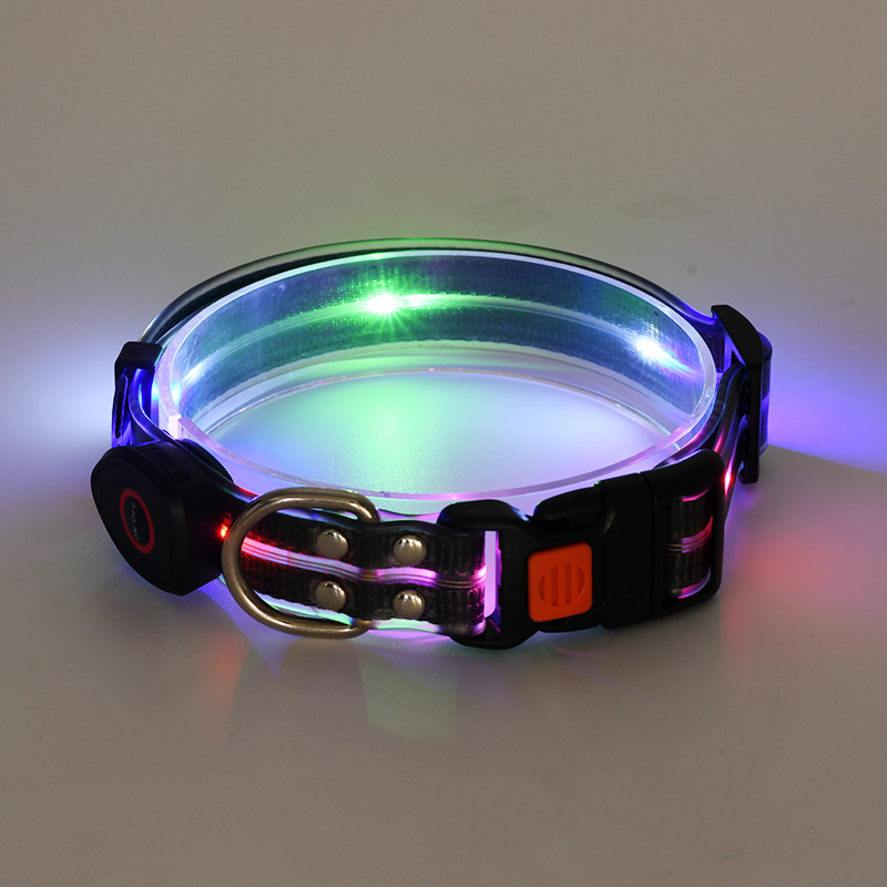 🐕: LED Rechargeable Pet Collar & Traction Belt – USB Glow Safety Set for Night Walks