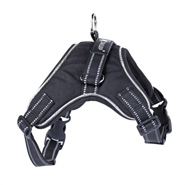 🐕: LED Dog Harness & Leash Set with Light-Up Collar – Night Safety Walking Gear