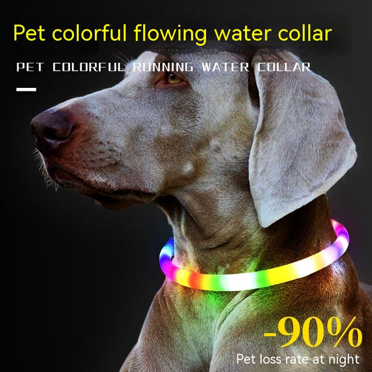 🐕: LED Fashion Dog Collar – Silicone Glow Safety Collar in 9 Colors
