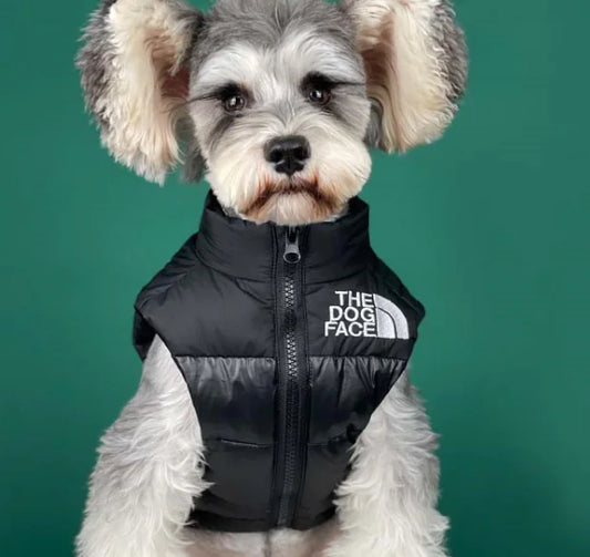 🐶: Puppy Warm Black Down Sleeveless Vest Jacket - Thick Winter Protection