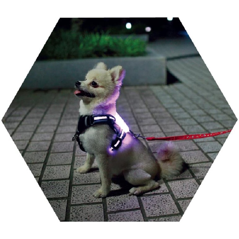🐕: Світлодіодний USB перезаряджуваний силіконовий нашийник для собак – світловідбиваючий нашийник для безпеки всіх розмірів