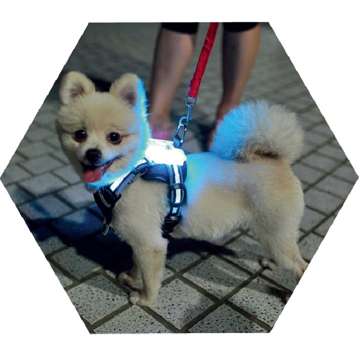 🐕: Світлодіодний USB перезаряджуваний силіконовий нашийник для собак – світловідбиваючий нашийник для безпеки всіх розмірів