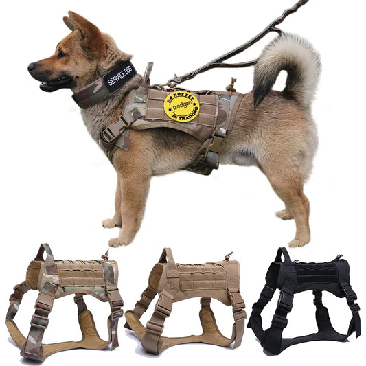 🐕 Tactical Dog Harness with Handle - Heavy Duty Nylon Harness & Bungee Leash